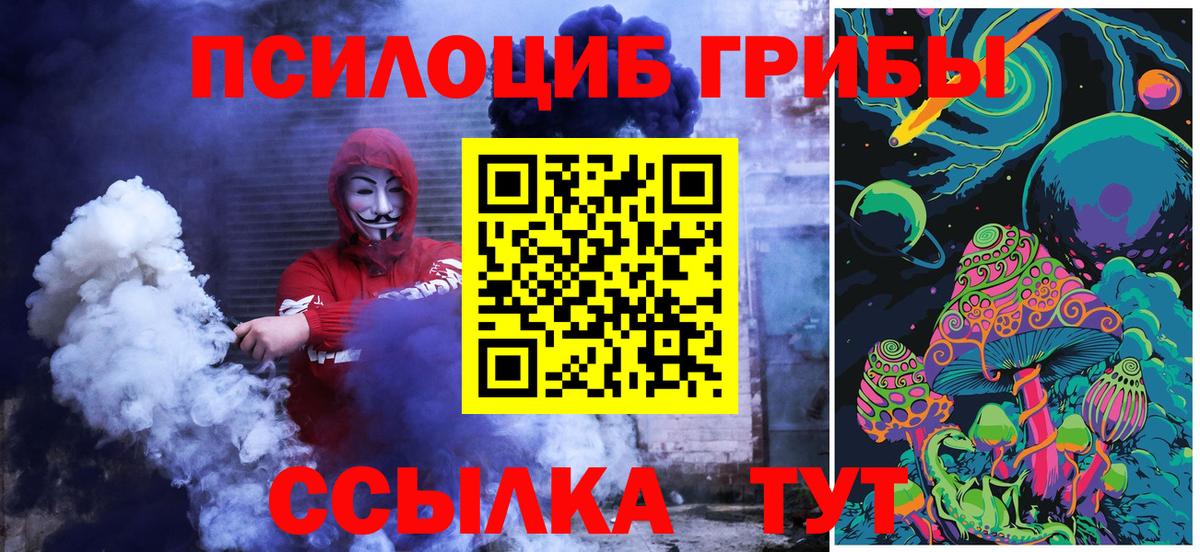 Псилоцибиновые грибы Psilocybine cubensis  Вход с VPN  Чусовой 
